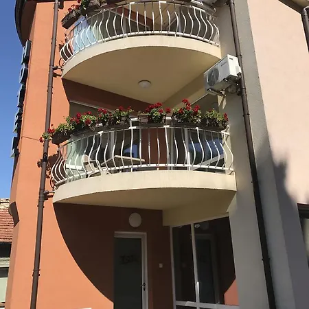 Hotel Zoti